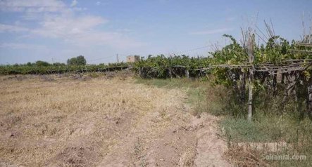 Ferme de 4,5 ha a Loudaya