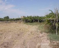 Ferme de 4,5 ha a Loudaya