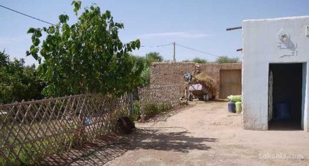 Ferme de 4,5 ha a Loudaya