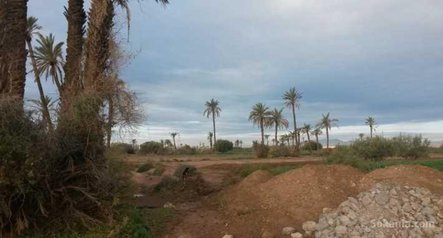 Terrain 1600 m2, bab atlas