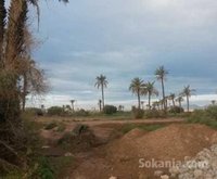 Terrain 1600 m2, bab atlas
