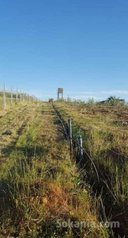 Terrain de 30000 m2 Autre secteur Agriculturelle