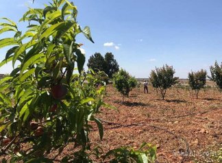Terrain de 30000 m2 Autre secteur Agriculturelle