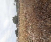 Vend maison de campagne 300m² sur 2.4 ha