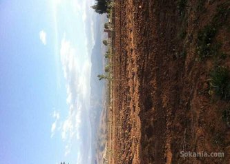 Terrain agricole