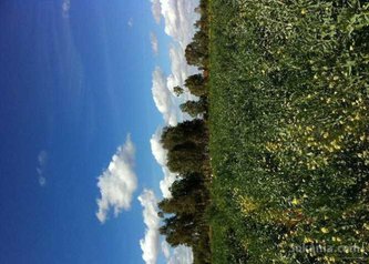 Terrain agricole