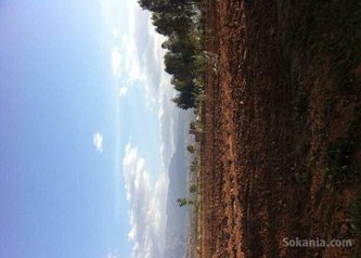 Terrain agricole