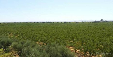 Terrain agricole titré à vendre sur la RN Meknès-K
