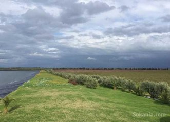 Terrain agricole titré à vendre sur la RN Meknès-K