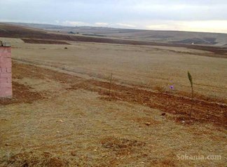 Terrain agricole de 1 hectare