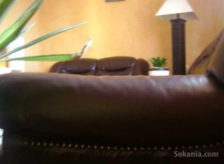 Fauteuil en cuir marron chocolat