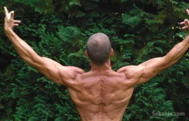 Barre fixe de Musculation extreme professionnel