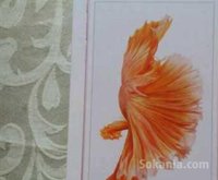 IPhone 6s plus 32gb