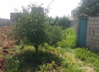 Ferme a vendre
