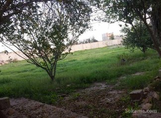 Ferme a vendre