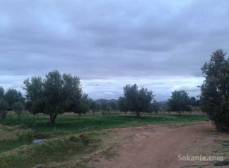 Ferme 8ha marrakech route fes