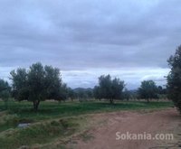 Ferme 8ha marrakech route fes