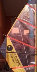 Planche a voile bic rumba 310 ( windrsurf)