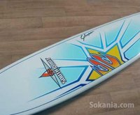Longboard Haute Performance 9'1 Epoxy
