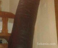 Sac a vendre