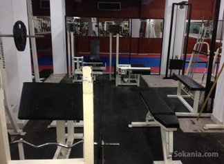 Matériels de musculation