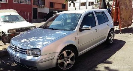 Golf 4 zebra