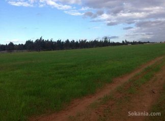 Terrain 1.5 ha agricole équipé à 26 km de kénitra