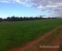Terrain 1.5 ha agricole équipé à 26 km de kénitra