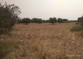 Terrain agricole contient 2 maisons à vendre