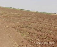 Terrain agricole berchaid