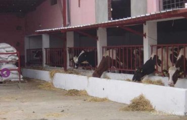 Ferme avec villa
