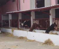 ferme avec villa