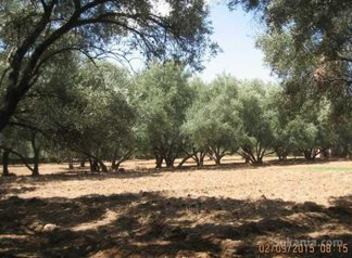 Terrain a vendre