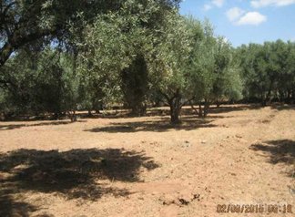 Terrain a vendre