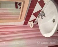 Location appartement de 69m² à maarif