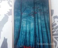 Huawei y6ii