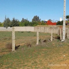 Terrain titré 1ha à sehoul salé près Aarjat