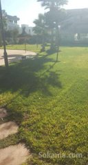 Vente appartement à Tamaris