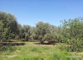 Fermette à vendre à Marrakech de 48700 m2