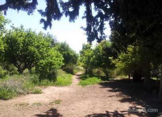 Fermette à vendre à Marrakech de 48700 m2