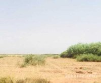 هكتار ونصف للبيع نواحي مراكش