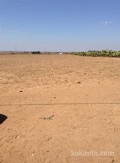 Terrain agricole de 4000m² a vendre tifelt