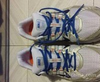 Nike Pegasus +