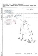 هكتار_1_من_ارض_فلاحية_محفظة