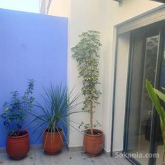 Location appartement a palmier