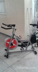 Vélo Spinning Schwinn