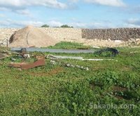 Dépot de 1400 Mtr à louler à Chellalate