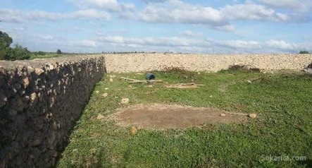 Dépot de 1400 Mtr à louler à Chellalate