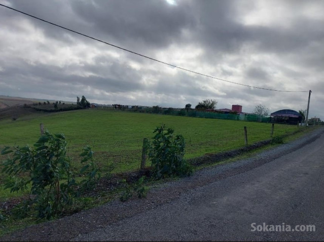 Terrain agricole vierge titré à 5km de kamouni