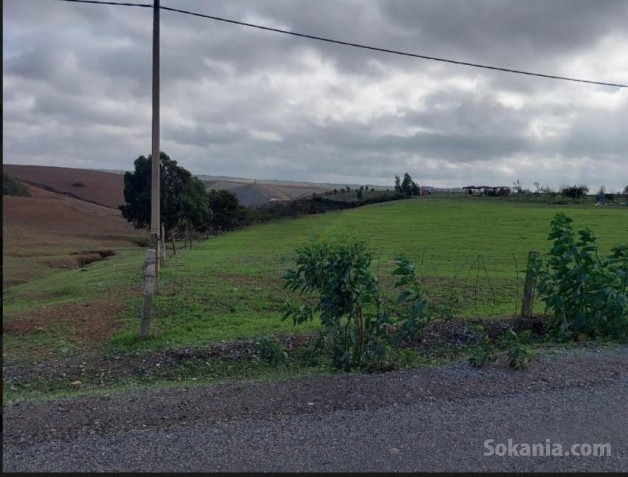Terrain agricole vierge titré à 5km de kamouni